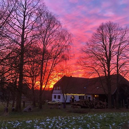 Ferienwohnung Bergfeld Lalendorf Buitenkant foto